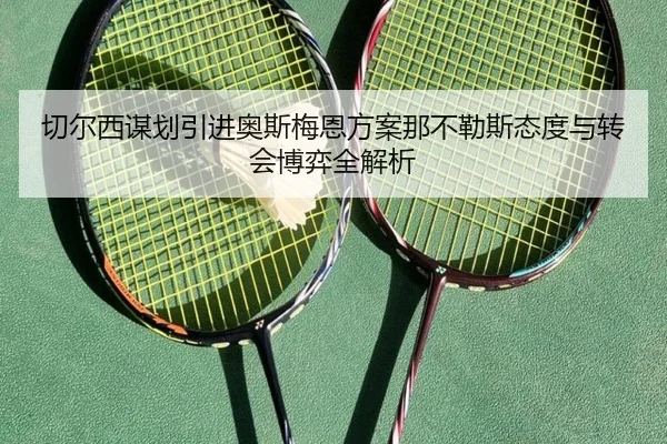 切尔西谋划引进奥斯梅恩方案那不勒斯态度与转会博弈全解析
